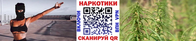 Купить закладку Гашиш  Меф мяу мяу  Дрезна