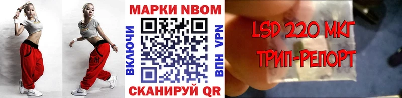 Купить закладки  Дрезна  Марки N-bome 1,8мг 
