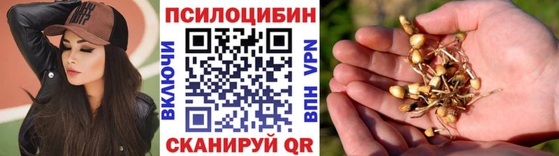 Галлюциногенные грибы Cubensis  Купить закладки  Дрезна 